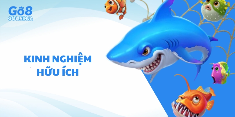 Kinh nghiệm hữu ích giúp người chơi đánh đâu thắng đó