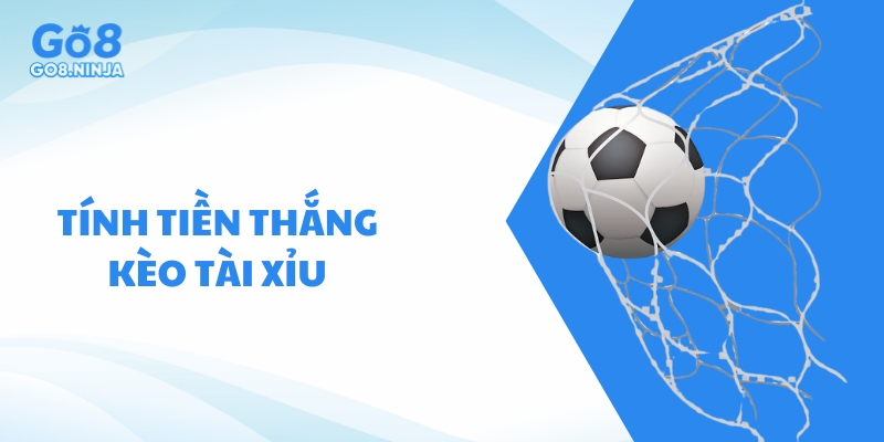 Hướng dẫn cách tính tiền thắng cược khi chơi kèo tài xỉu