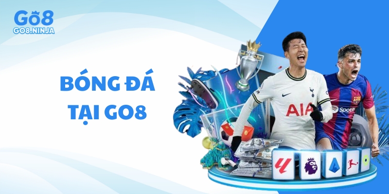 Bóng đá là môn thể thao được yêu thích hàng đầu